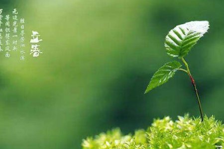 2021年立春是几月几号几点几分