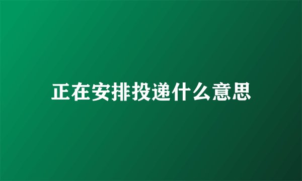 正在安排投递什么意思