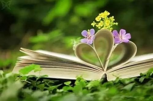 true love翻译中文