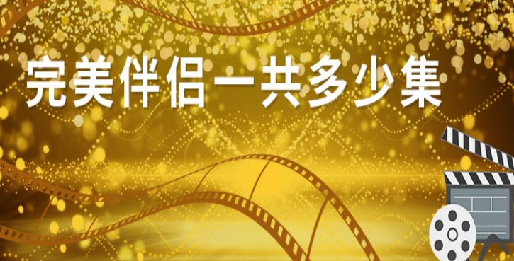 《完美伴侣》一共多少集?