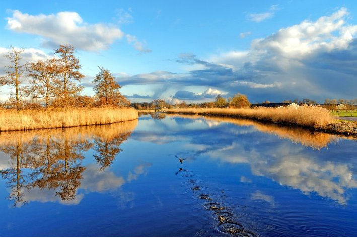 巧取豪夺什么意思