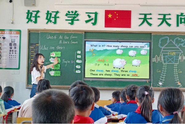 睾丸英语怎么读