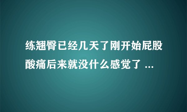 练翘臀已经几天了刚开始屁股酸痛后来就没什么感觉了 是不是不酸痛就没有效果?