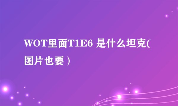 WOT里面T1E6 是什么坦克(图片也要）