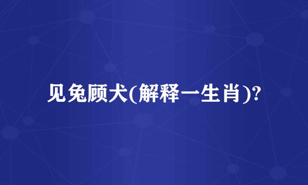 见兔顾犬(解释一生肖)?