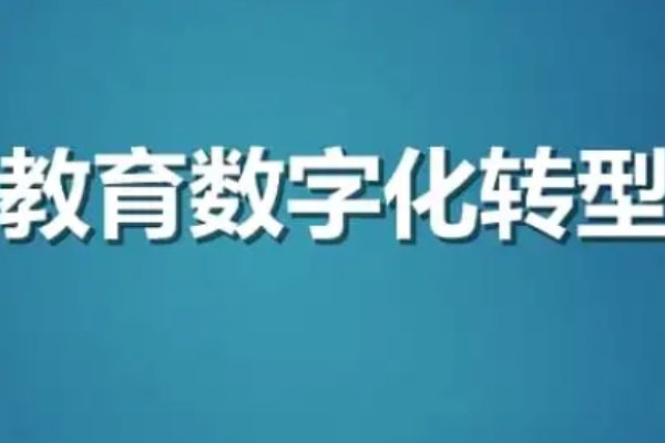 下面哪些要素是推进教育数字化的关键硬件设备软件工具数字资源等具备数字素养
