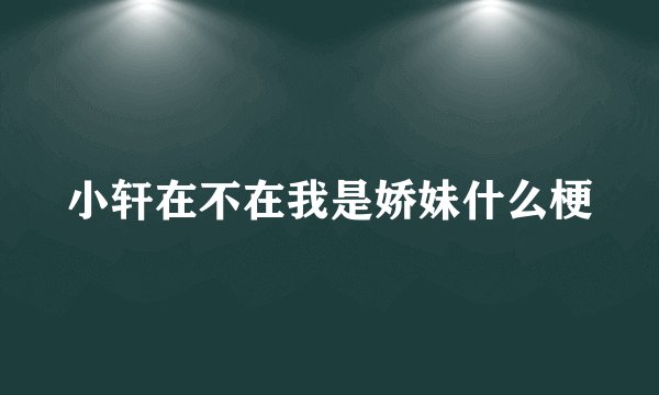 小轩在不在我是娇妹什么梗