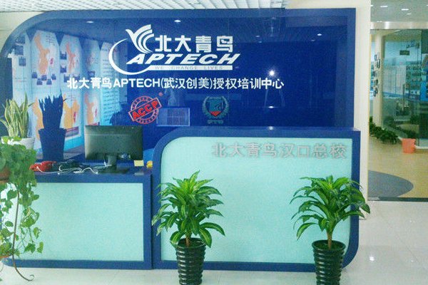 北大青鸟的学费一年是多少