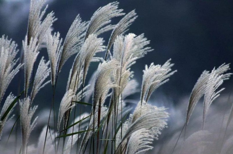 有位佳人在水一方的全诗是什么?