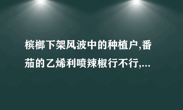槟榔下架风波中的种植户,番茄的乙烯利喷辣椒行不行,番茄的乙烯
