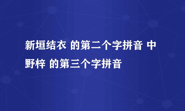 新垣结衣 的第二个字拼音 中野梓 的第三个字拼音