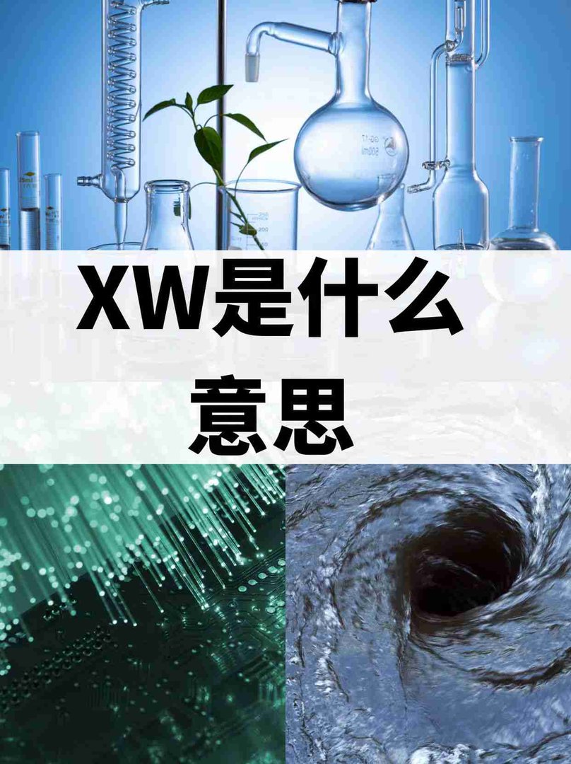 XW是什么意思？