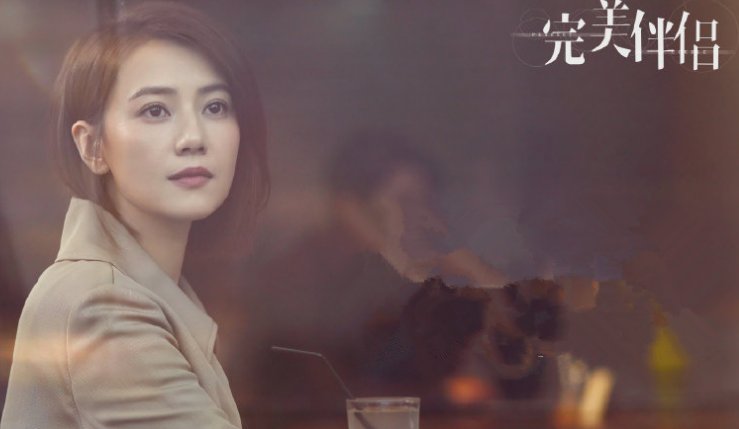 《完美伴侣》在哪个台播出？