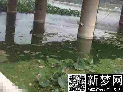 9·20河南挖眼抛尸案的最新资讯