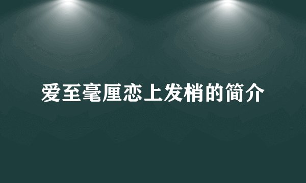 爱至毫厘恋上发梢的简介
