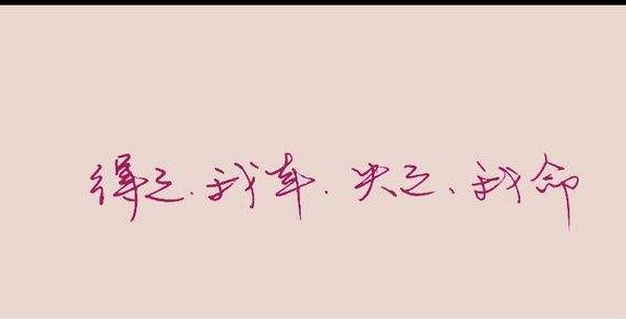 得之我幸 失之我命 什么意思