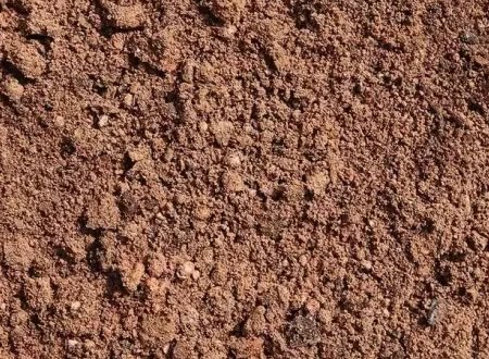 soil是什么意思英语