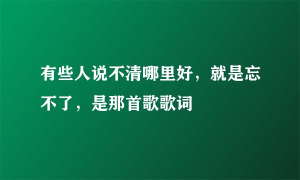 有些人说不清哪里好，就是忘不了，是那首歌歌词
