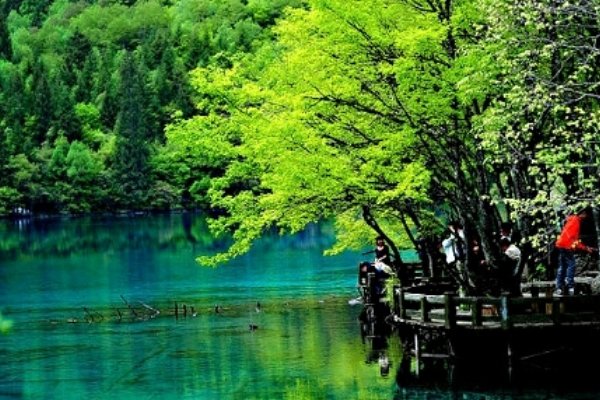 心里有数是什么意思