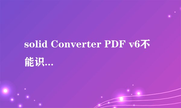 solid Converter PDF v6不能识别简体中文