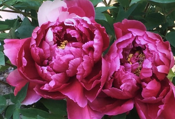 欧产日产国色天香区别视频