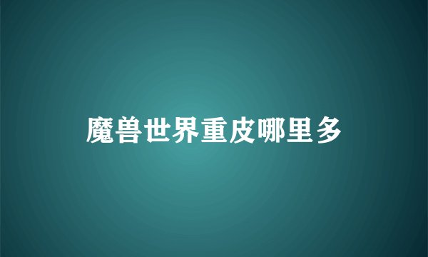 魔兽世界重皮哪里多