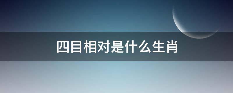 四目相对是什么生肖
