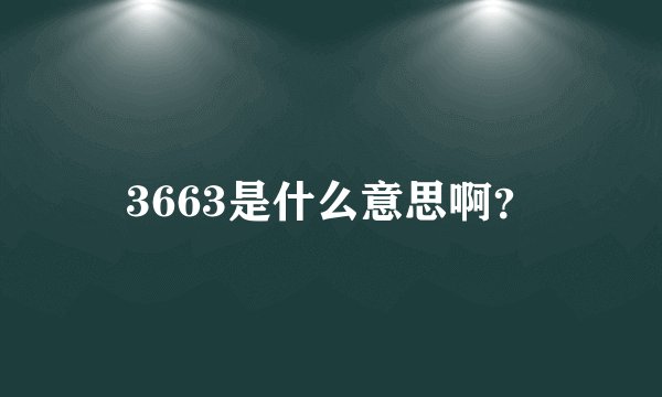 3663是什么意思啊？