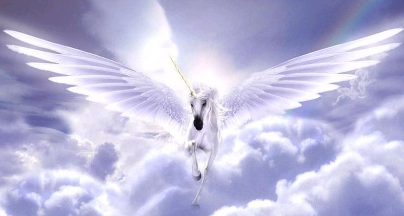 独角兽代表的是什么含义？