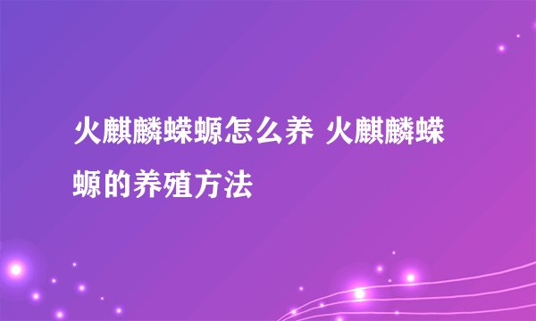 火麒麟蝾螈怎么养 火麒麟蝾螈的养殖方法