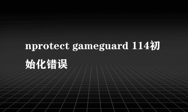 nprotect gameguard 114初始化错误