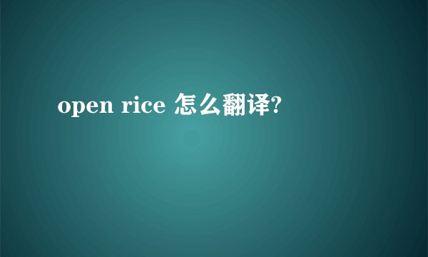 open rice 怎么翻译?