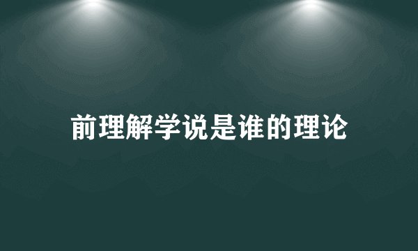 前理解学说是谁的理论