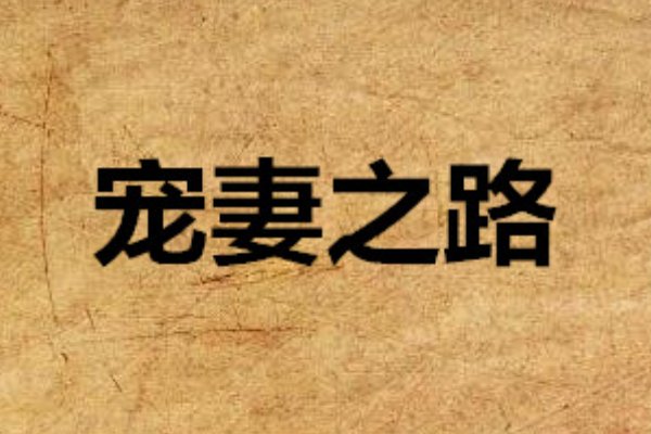 啊肥阿的小说有哪些