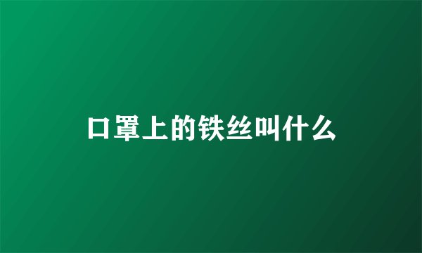 口罩上的铁丝叫什么