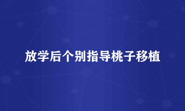 放学后个别指导桃子移植