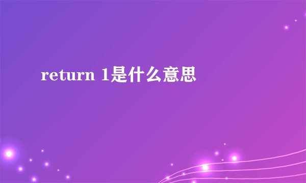 return 1是什么意思