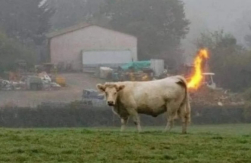 不同寻常怎么读