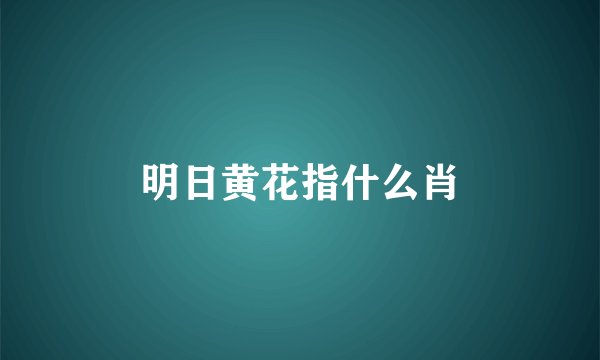 明日黄花指什么肖