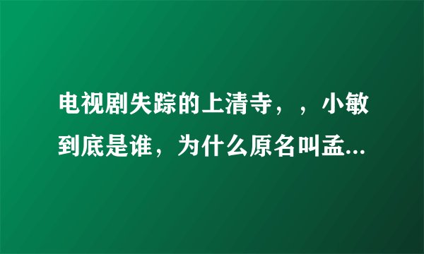 电视剧失踪的上清寺，，小敏到底是谁，为什么原名叫孟小青，是不是徐尊的孙女，徐尊又是这样的人， 谁知