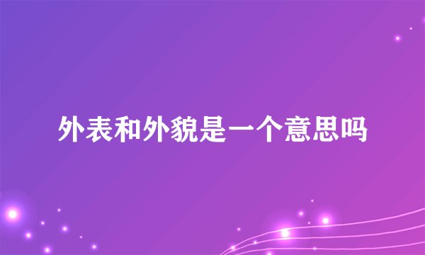 外表和外貌是一个意思吗