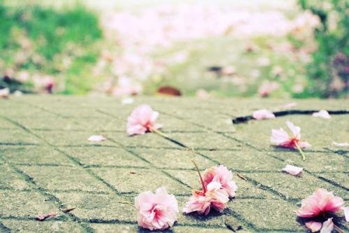 生活如此多娇下一句怎么接？