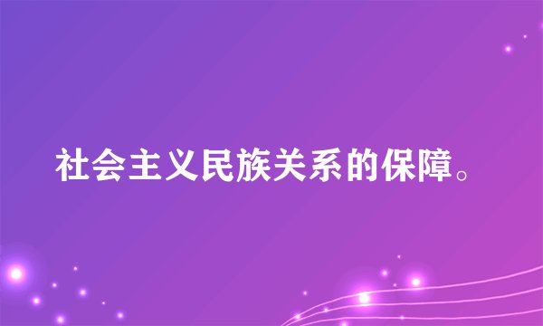 社会主义民族关系的保障。