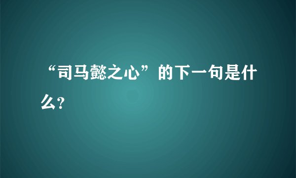 “司马懿之心”的下一句是什么？