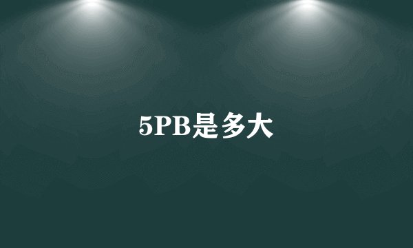 5PB是多大