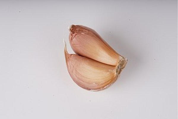 强根是什么意思