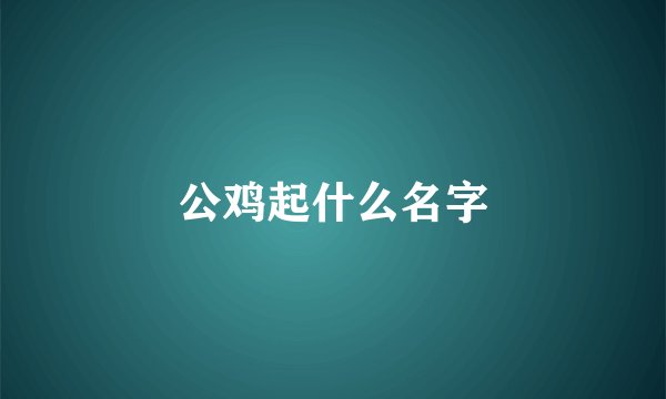 公鸡起什么名字