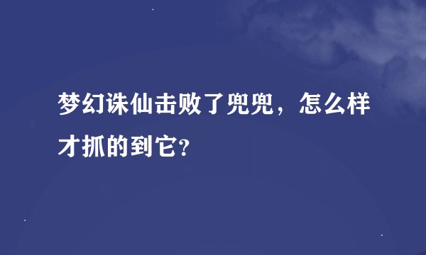 梦幻诛仙击败了兜兜，怎么样才抓的到它？