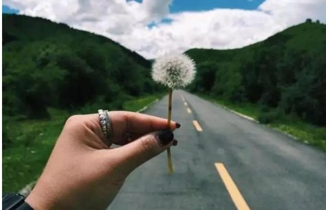 原则问题是什么意思？