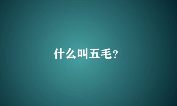 什么叫五毛？